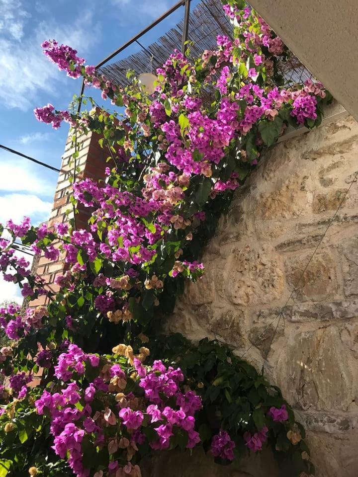 Dalmatinska Kuca Terace Villa Skradin Buitenkant foto