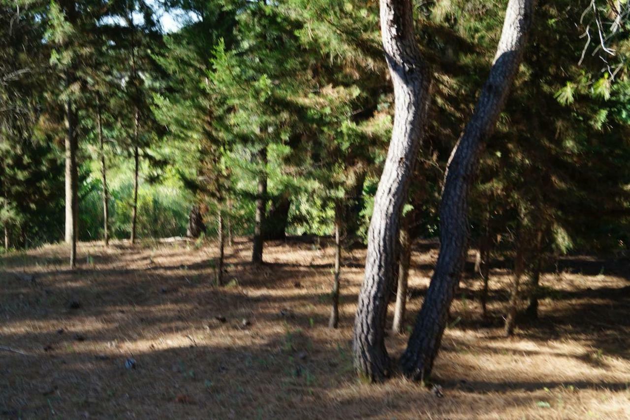 Dalmatinska Kuca Terace Villa Skradin Buitenkant foto