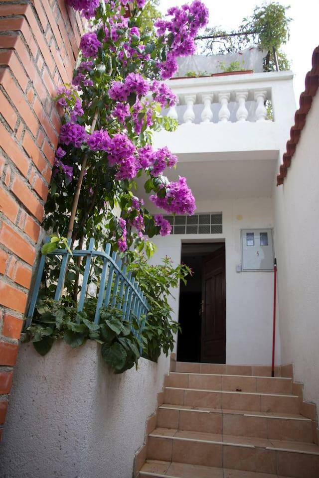 Dalmatinska Kuca Terace Villa Skradin Buitenkant foto